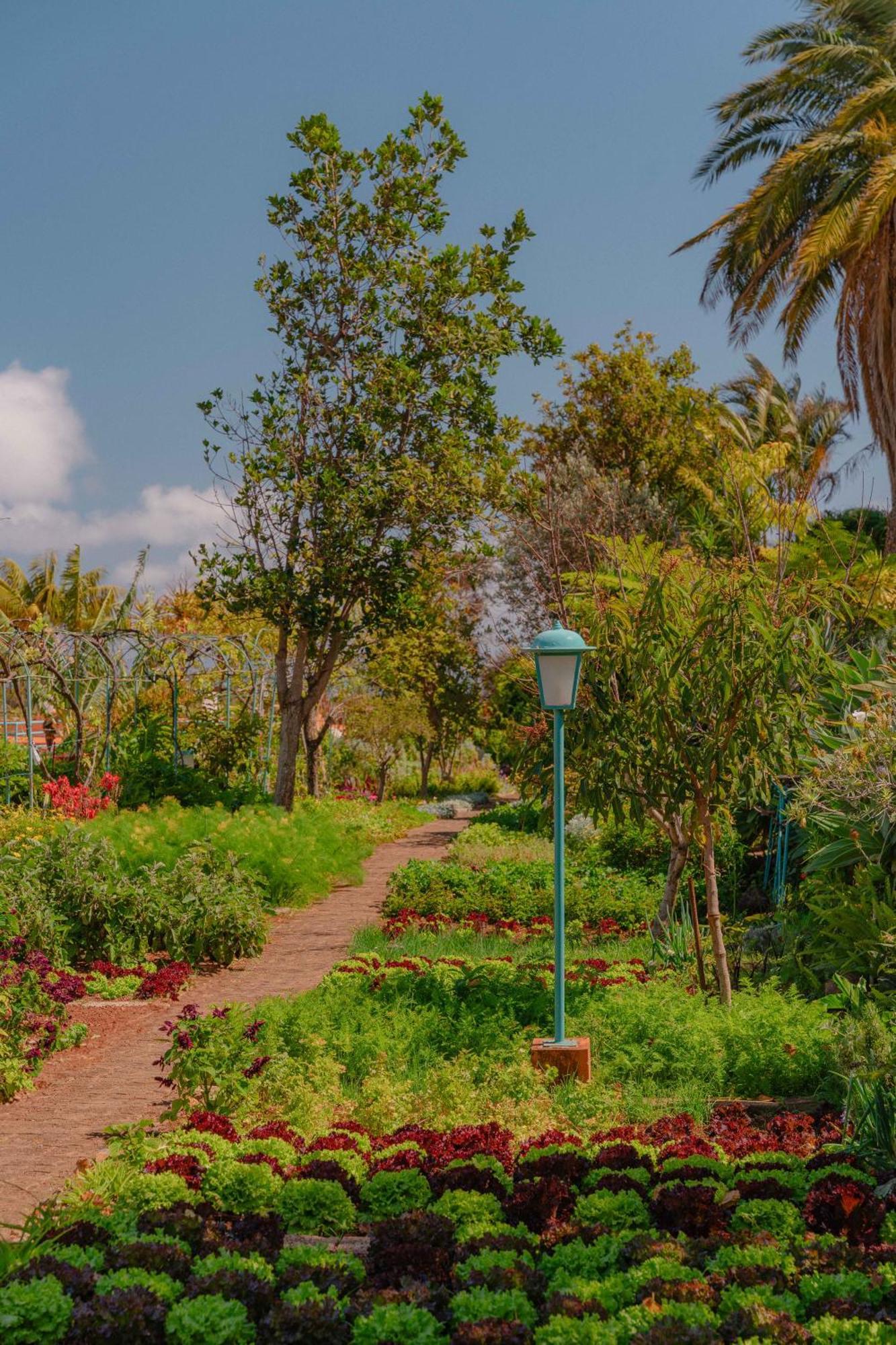 Quinta Splendida Wellness & Botanical Garden Ξενοδοχείο Caniço Εξωτερικό φωτογραφία